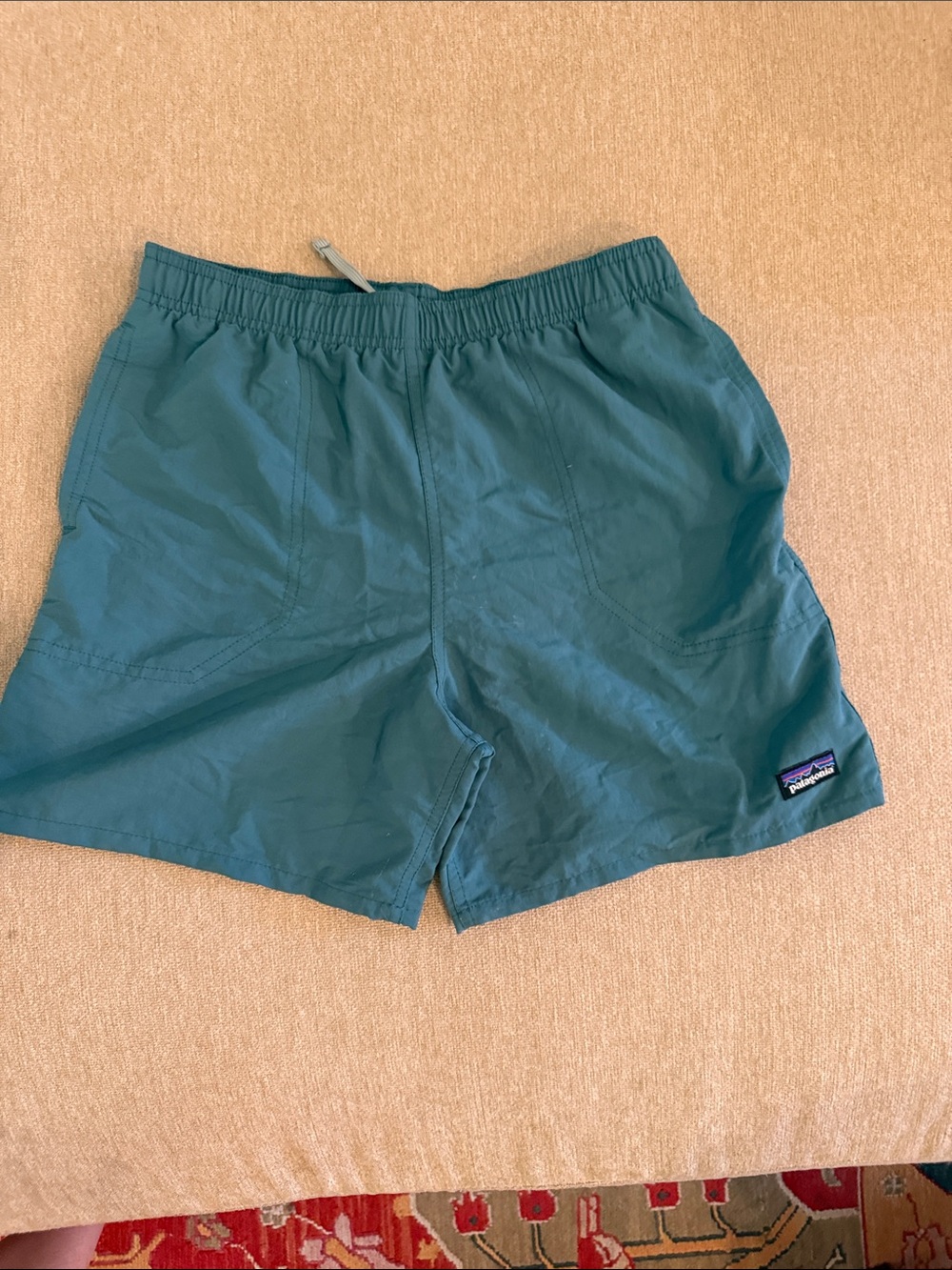 Patagonia Teal Shorts with Elastic Waist